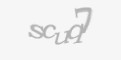 FORM_CAPTCHA