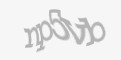 FORM_CAPTCHA